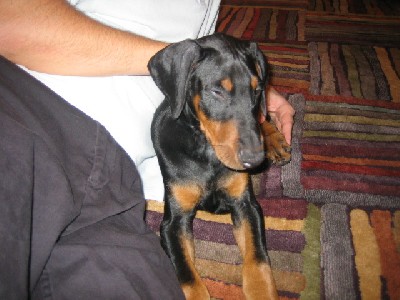 bailey-2008-09-05 083.jpg